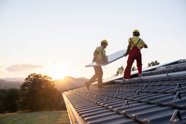 Best Roof Moss and Algae Removal  in County Center, VA