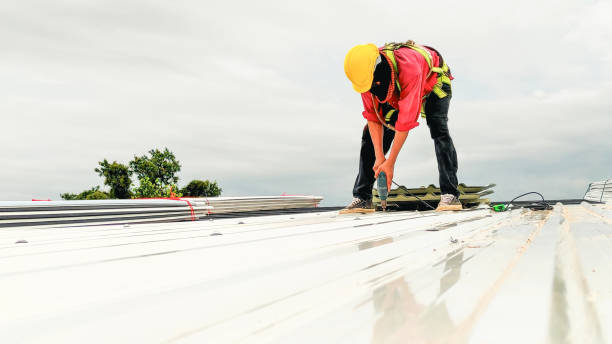 Best Roof Insulation Installation  in County Center, VA